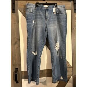 Lane Bryant Blue Straight Leg Jeans